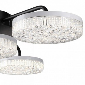 Потолочная люстра Lumion Didana 8236/4CL в Агрызе - agryz.ok-mebel.com | фото 7