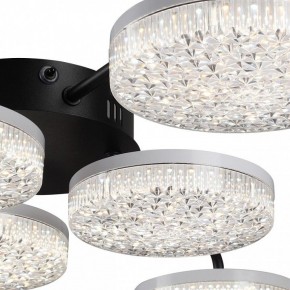 Потолочная люстра Lumion Didana 8236/6CL в Агрызе - agryz.ok-mebel.com | фото 9