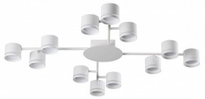 Потолочная люстра Lumion Gareta 8235/12C в Агрызе - agryz.ok-mebel.com | фото