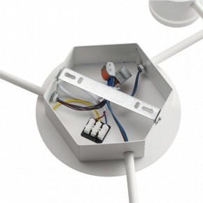 Потолочная люстра Lumion Gareta 8235/9C в Агрызе - agryz.ok-mebel.com | фото 6