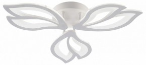 Потолочная люстра Natali Kovaltseva FORTUNA LED LAMPS 81107/2C в Агрызе - agryz.ok-mebel.com | фото