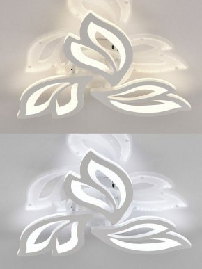 Потолочная люстра Natali Kovaltseva  LED LAMPS 81426 в Агрызе - agryz.ok-mebel.com | фото 4