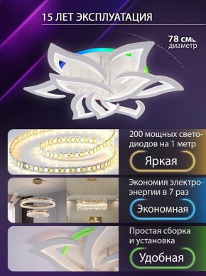 Потолочная люстра Natali Kovaltseva OLIMP LED LAMPS 81435 в Агрызе - agryz.ok-mebel.com | фото 5