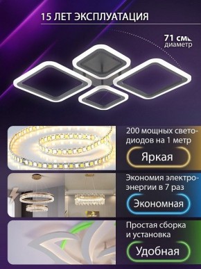 Потолочная люстра Natali Kovaltseva OPTI LED LAMPS 81108/2C в Агрызе - agryz.ok-mebel.com | фото 5