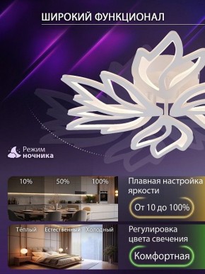Потолочная люстра Natali Kovaltseva RIF LED LAMPS 81118/5C в Агрызе - agryz.ok-mebel.com | фото 6