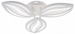 Потолочная люстра Natali Kovaltseva SM LED LAMPS 81456 в Агрызе - agryz.ok-mebel.com | фото