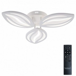 Потолочная люстра Natali Kovaltseva SM LED LAMPS 81456 в Агрызе - agryz.ok-mebel.com | фото 2