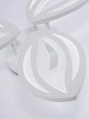 Потолочная люстра Natali Kovaltseva SM LED LAMPS 81456 в Агрызе - agryz.ok-mebel.com | фото 8