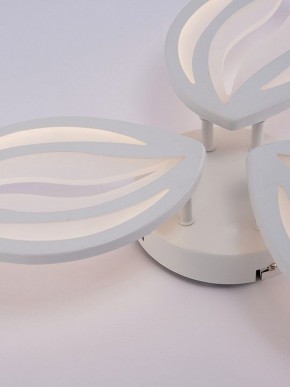 Потолочная люстра Natali Kovaltseva SM LED LAMPS 81456 в Агрызе - agryz.ok-mebel.com | фото 9