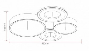 Потолочная люстра Rivoli Aliona Б0066451 в Агрызе - agryz.ok-mebel.com | фото 11