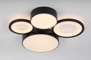 Потолочная люстра Rivoli Aliona Б0066451 в Агрызе - agryz.ok-mebel.com | фото 8