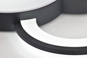 Потолочная люстра Rivoli Aliona Б0066452 в Агрызе - agryz.ok-mebel.com | фото 10