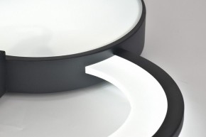 Потолочная люстра Rivoli Aliona Б0066452 в Агрызе - agryz.ok-mebel.com | фото 11