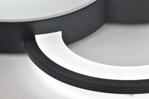 Потолочная люстра Rivoli Aliona Б0066452 в Агрызе - agryz.ok-mebel.com | фото 12