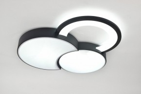 Потолочная люстра Rivoli Aliona Б0066452 в Агрызе - agryz.ok-mebel.com | фото 8