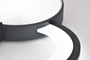 Потолочная люстра Rivoli Aliona Б0066452 в Агрызе - agryz.ok-mebel.com | фото 9
