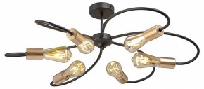 Потолочная люстра Vitaluce V3076 V3076-1/6PL в Агрызе - agryz.ok-mebel.com | фото 3