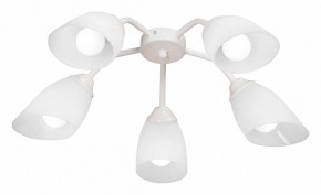 Потолочная люстра Vitaluce V31950 V31950/5PL в Агрызе - agryz.ok-mebel.com | фото