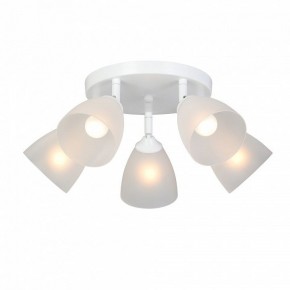 Потолочная люстра Vitaluce V4355 V4355-0/5PL в Агрызе - agryz.ok-mebel.com | фото 2