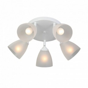 Потолочная люстра Vitaluce V4355 V4355-0/5PL в Агрызе - agryz.ok-mebel.com | фото 3