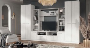ПРЕМЬЕР Гостиная (Анкор светлый) в Агрызе - agryz.ok-mebel.com | фото