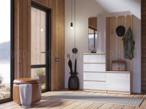 ЧЕЛСИ Прихожая в Агрызе - agryz.ok-mebel.com | фото 3