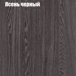 Прихожая ДИАНА-4 сек №7 (Ясень анкор/Дуб эльза) в Агрызе - agryz.ok-mebel.com | фото 3