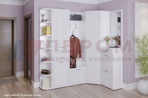 Прихожая Карина композиция 5 (Снежный ясень) в Агрызе - agryz.ok-mebel.com | фото