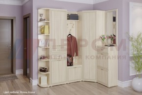 Прихожая Карина композиция 5 (Ясень Асахи) в Агрызе - agryz.ok-mebel.com | фото