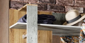 Прихожая Кензо (крафт/бетон) вешалка+шкаф в Агрызе - agryz.ok-mebel.com | фото 6