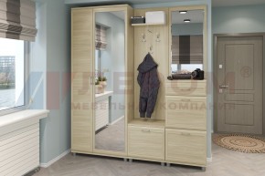 Прихожая Мелисса композиция 1 (Ясень Асахи) в Агрызе - agryz.ok-mebel.com | фото