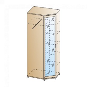 Прихожая Мелисса композиция 10 (Акация Молдау) в Агрызе - agryz.ok-mebel.com | фото 6