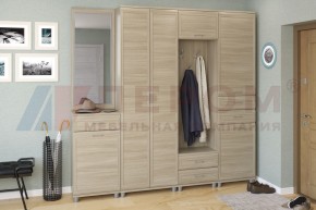 Прихожая Мелисса композиция 4 (Ясень Асахи) в Агрызе - agryz.ok-mebel.com | фото