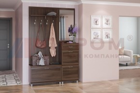 Прихожая Мелисса композиция 8 (Акация Молдау) в Агрызе - agryz.ok-mebel.com | фото