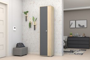 Прихожая Монако-2 (Дуб Сонома/Графит) в Агрызе - agryz.ok-mebel.com | фото 11
