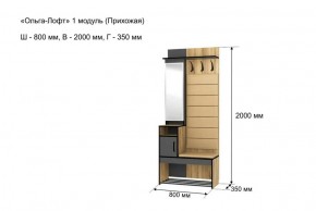 ОЛЬГА-ЛОФТ 1 Прихожая в Агрызе - agryz.ok-mebel.com | фото 4