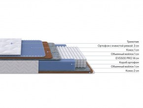 PROxSON Матрас Active Duo M/F (Ткань Трикотаж Эко) 80x200 в Агрызе - agryz.ok-mebel.com | фото 2
