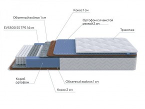 PROxSON Матрас Active Duo M/F (Ткань Трикотаж Эко) 80x200 в Агрызе - agryz.ok-mebel.com | фото 7