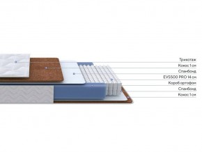 PROxSON Матрас Active F Roll (Ткань Трикотаж Эко) 120x190 в Агрызе - agryz.ok-mebel.com | фото 2