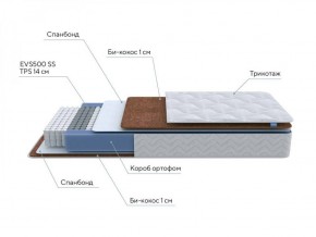 PROxSON Матрас Active F Roll (Ткань Трикотаж Эко) 120x200 в Агрызе - agryz.ok-mebel.com | фото 6