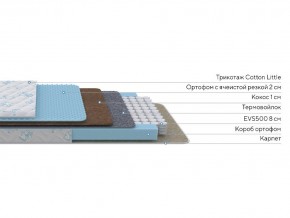 PROxSON Матрас Совенок (Print) 70x170 в Агрызе - agryz.ok-mebel.com | фото 12