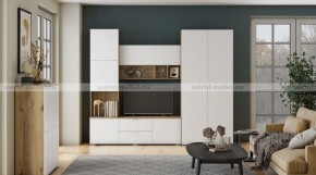 МИЛАН-1 Секция ТВ (ЦРК.МЛН.01 секция ТВ) в Агрызе - agryz.ok-mebel.com | фото 3