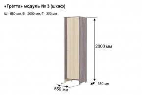 ГРЕТТА 3 Шкаф 2-х створчатый в Агрызе - agryz.ok-mebel.com | фото 4