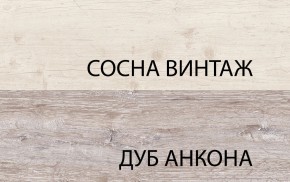 Шкаф 2D1S, MONAKO, цвет Сосна винтаж/дуб анкона в Агрызе - agryz.ok-mebel.com | фото