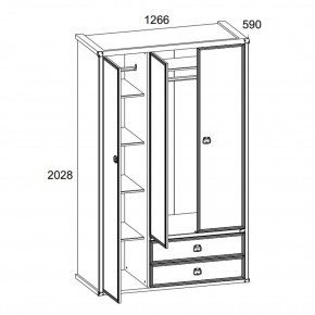 Шкаф 3DG2S, MAGELLAN, цвет Сосна винтаж в Агрызе - agryz.ok-mebel.com | фото 4