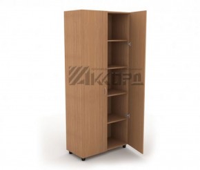 Шкаф для документов закрытый ШД 82.8 (700*380*1800) в Агрызе - agryz.ok-mebel.com | фото