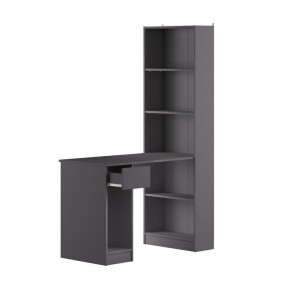 Шкаф комбинированный 10.01 Лайт (Темно - серый U2601) в Агрызе - agryz.ok-mebel.com | фото 2