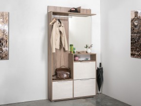 Шкаф комбинированный 10.13 Темпо в Агрызе - agryz.ok-mebel.com | фото 7