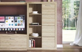 Шкаф комбинированный 1D OSKAR , цвет дуб Санремо в Агрызе - agryz.ok-mebel.com | фото 3