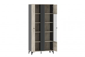 Шкаф комбинированный НМ 040.10 "Отис" в Агрызе - agryz.ok-mebel.com | фото 2